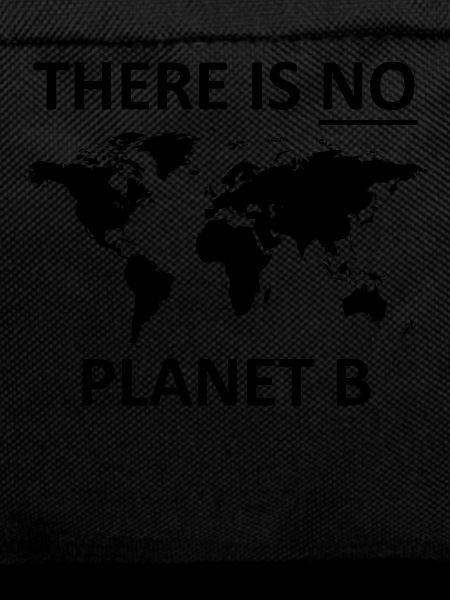 There Is No Planet B
