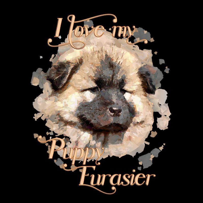 My pet dog Eurasier