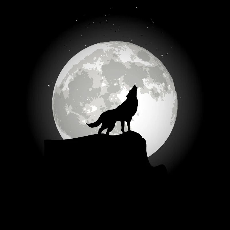 Loup sur un rocher au clair de lune.