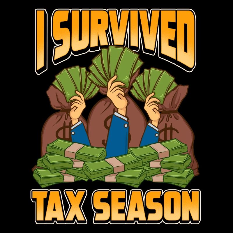 Drôle de comptabilité j'ai survécu comptable de la saison des impôts