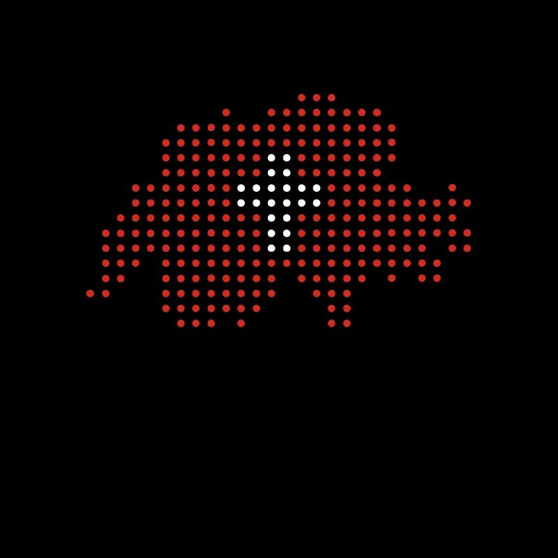 Schweizer T-Shirt & Geschenkidee