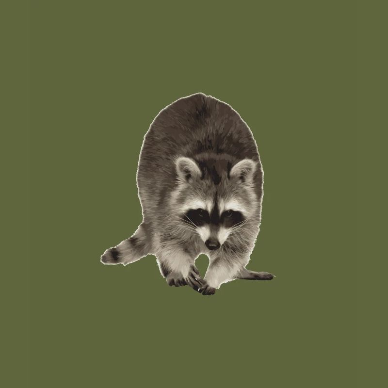 Waschbär