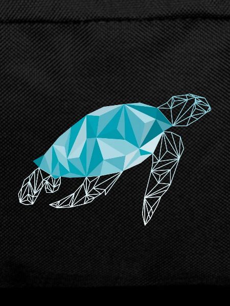 Turtle polygon