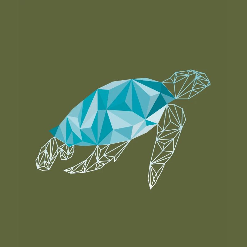 Turtle polygon