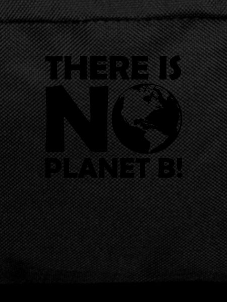 There is no planet B