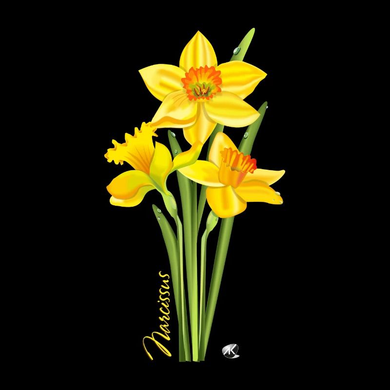 Yellow daffodils illustration