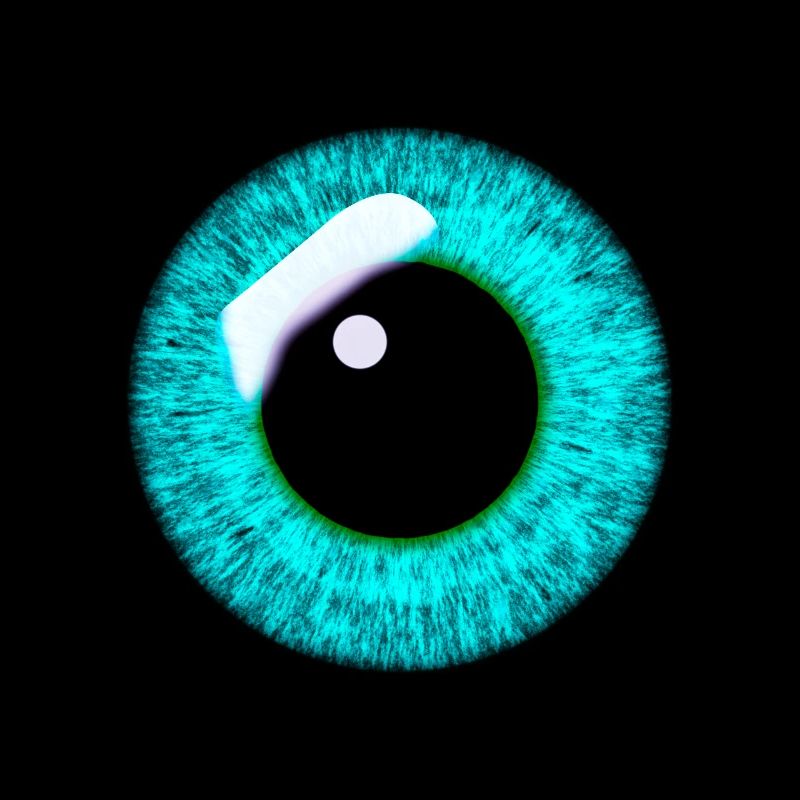 Oeil