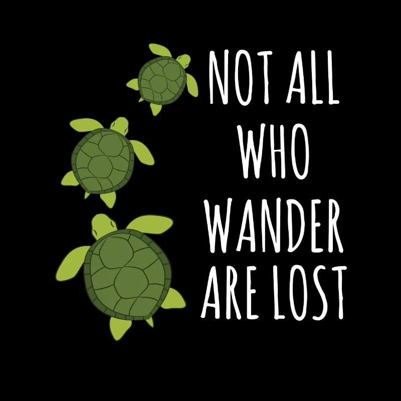 Turtle-Not All Who Wander Are Lost