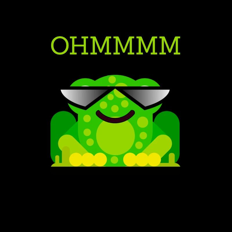 Yoga Frosch Ohmmmm Meditation Programmierer