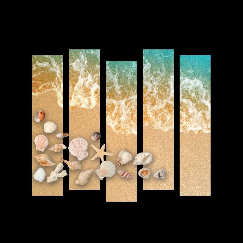 Seashells on the beach