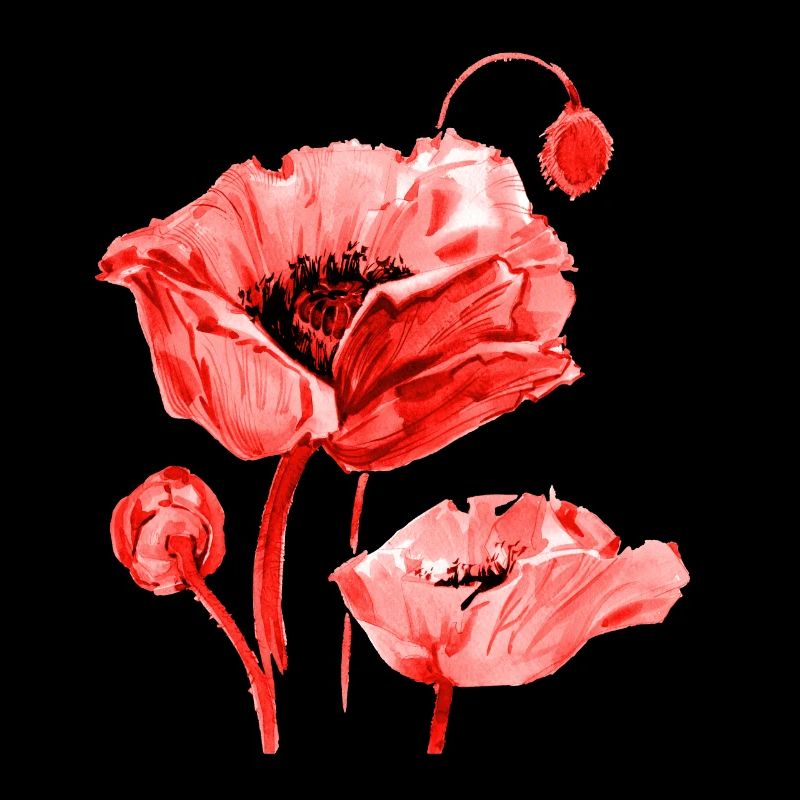 Mohnblume