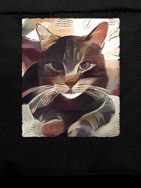 Cats cat, funny sayings