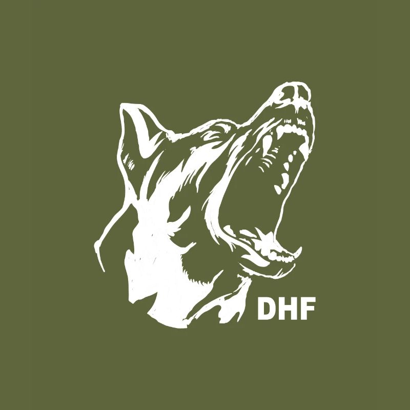 DHF