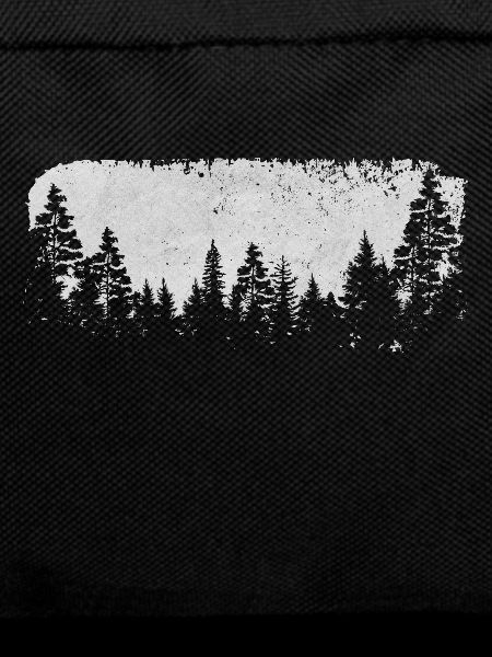 forest landscape