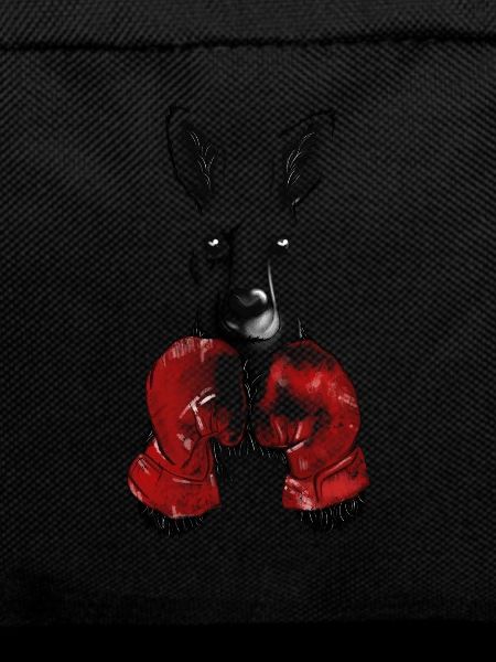 Kangaroo with boxing gloves