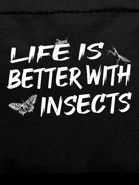 Insectes