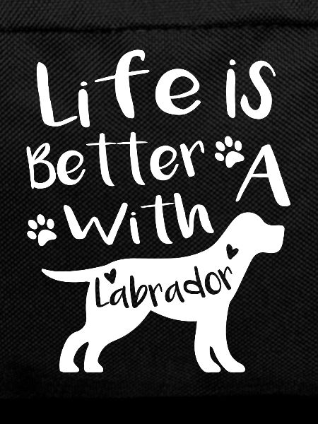 Life with labrador
