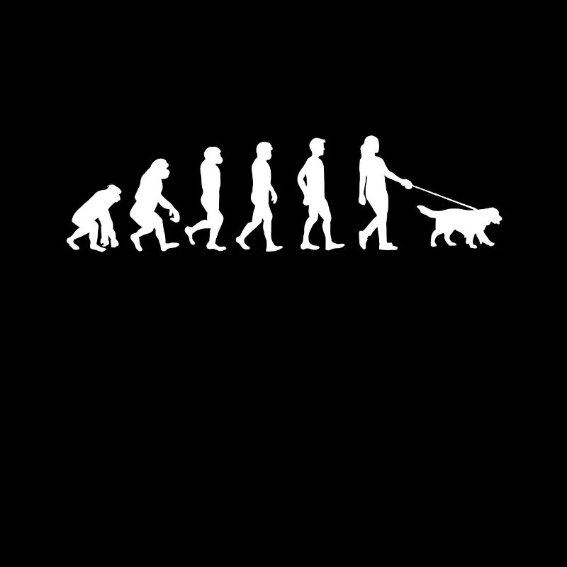 Evolution des Dog Walking