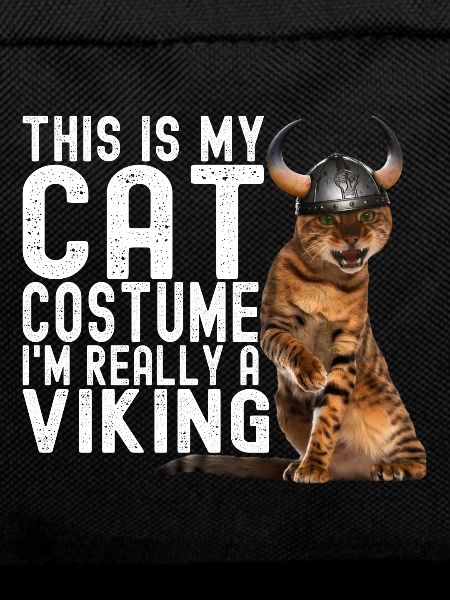 Viking Cat