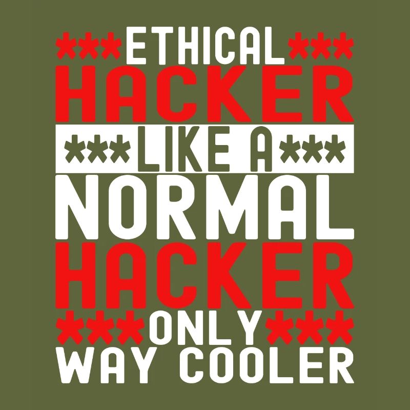 Programmer Cyber Security