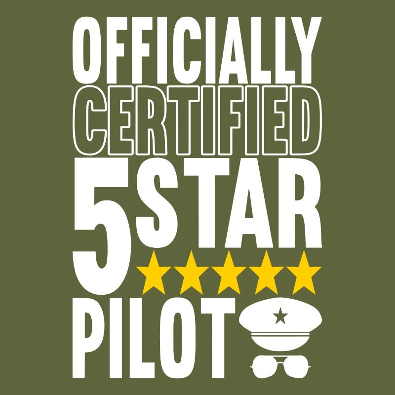 Pilot Flugzeug