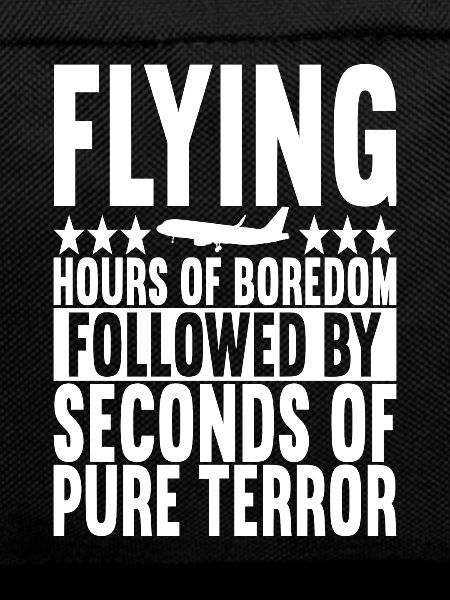 Pilot Flugzeug