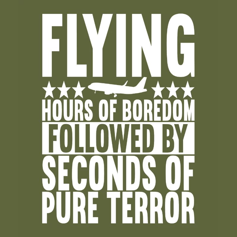 Pilot Flugzeug