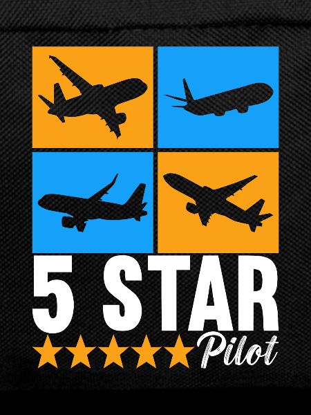 Pilot Flugzeug