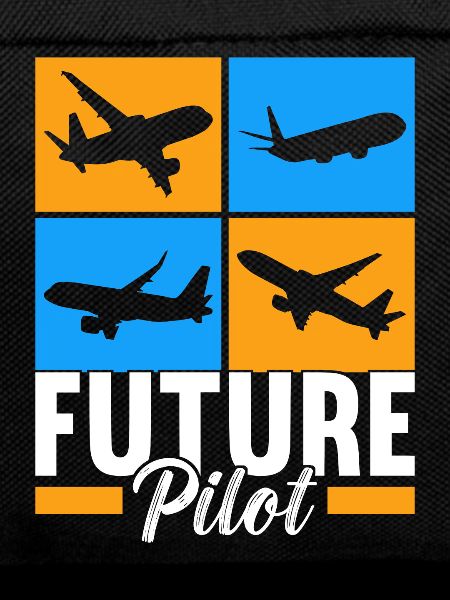 Pilot Flugzeug