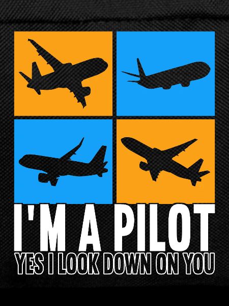 Pilot Flugzeug