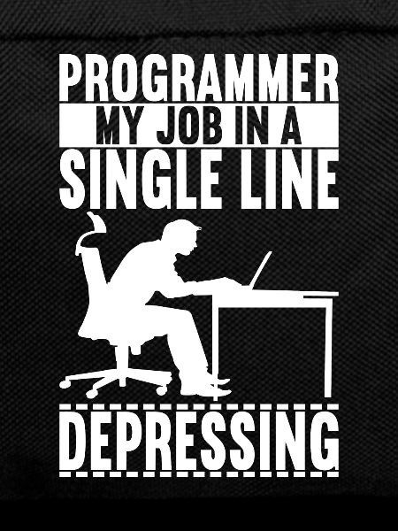 Programmeur Informaticien