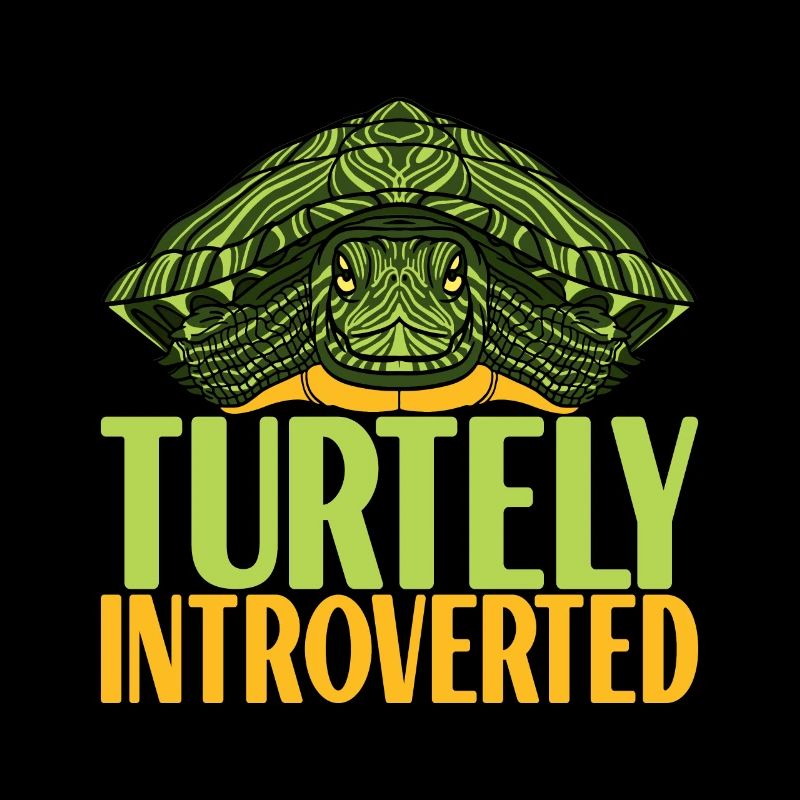 Turtle Turtle Aquatic turtle