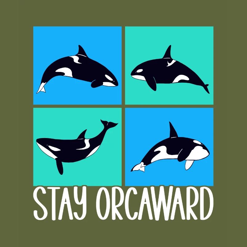 Wale Walbeobachter Orca