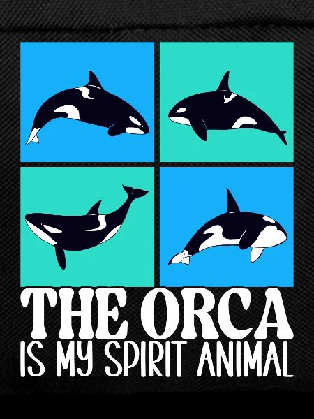 Whale Whale Watching Orca