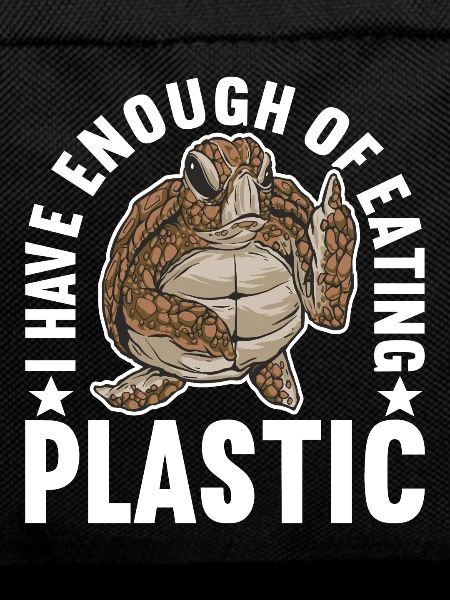 Angry Turtle
