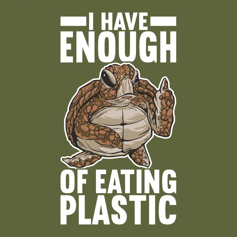 Angry Turtle