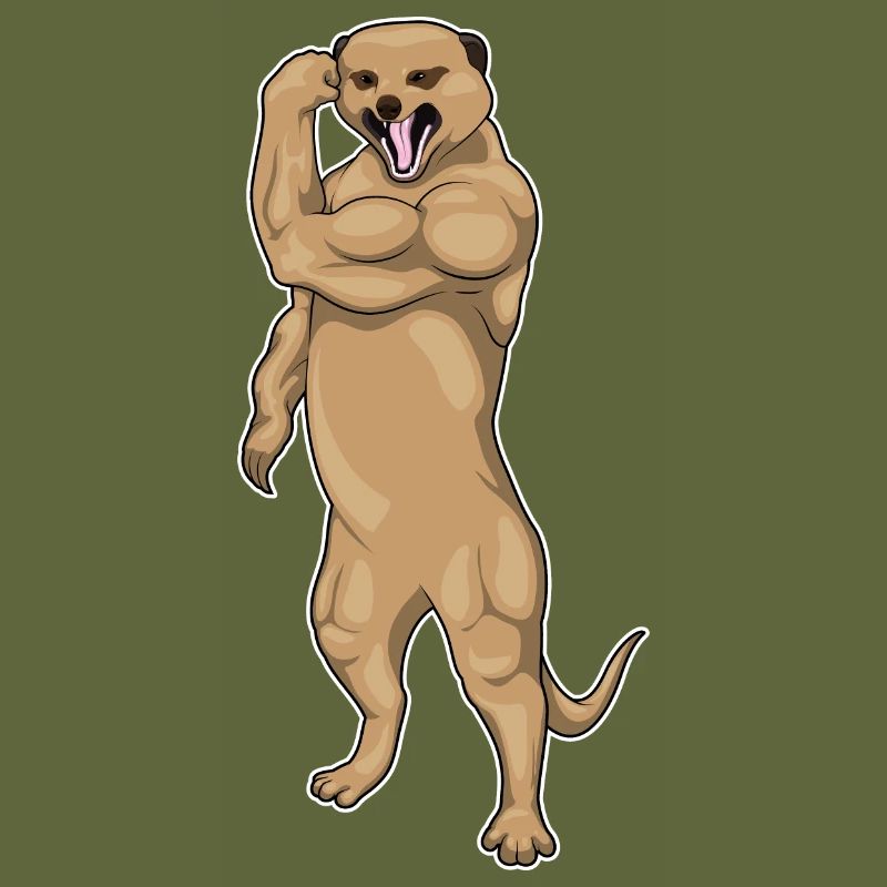 Suricate Bodybuilder Musculation