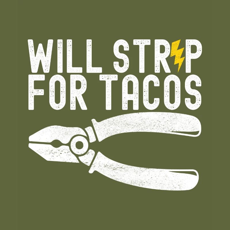 Electrician Electronics Technician