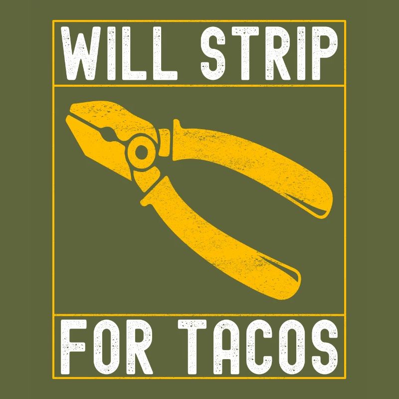 Electrician Electronics Technician