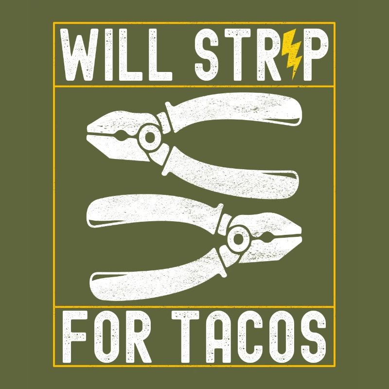 Electrician Electronics Technician