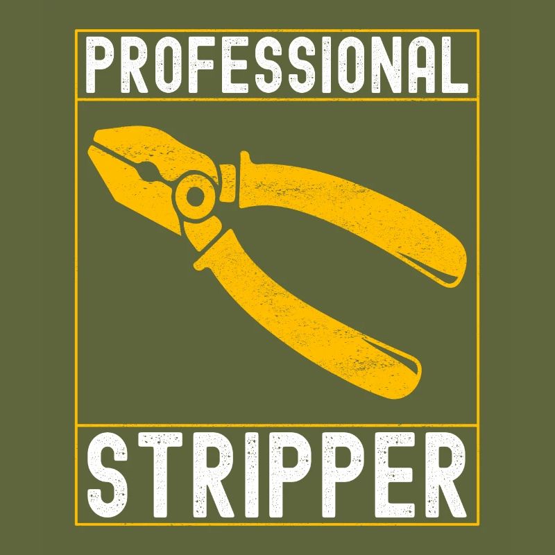 Electrician Electronics Technician