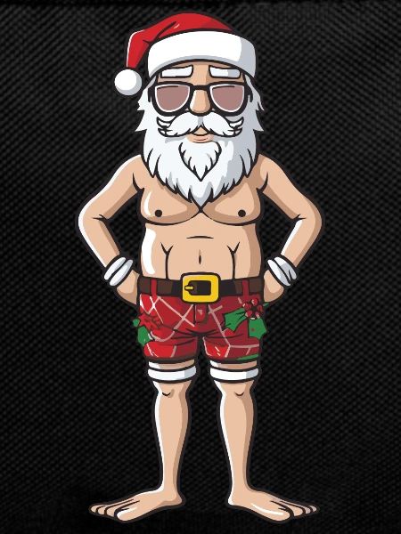 Santa Claus Holiday Santa