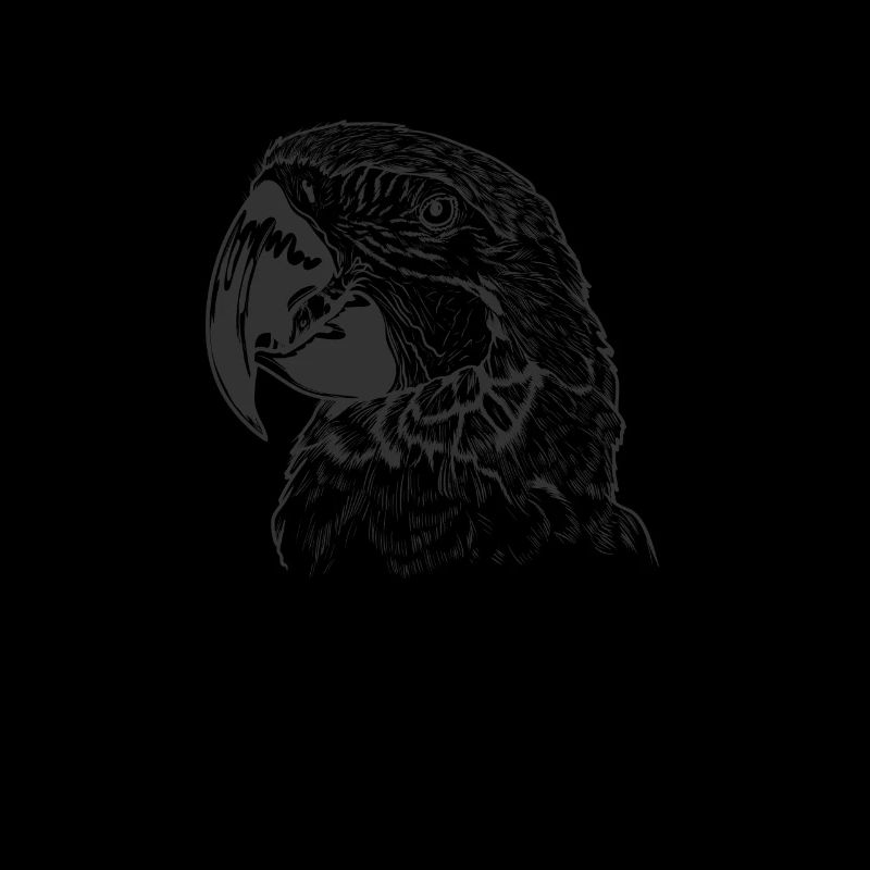 Papagei im Profil Tier Vogel