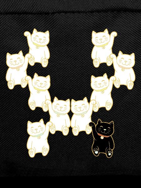 Cats different unusual cat deiifernz