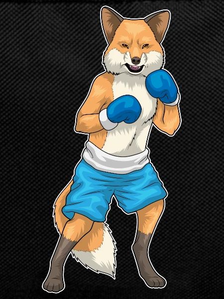 Fuchs Boxer Boxing Gloves Boxing