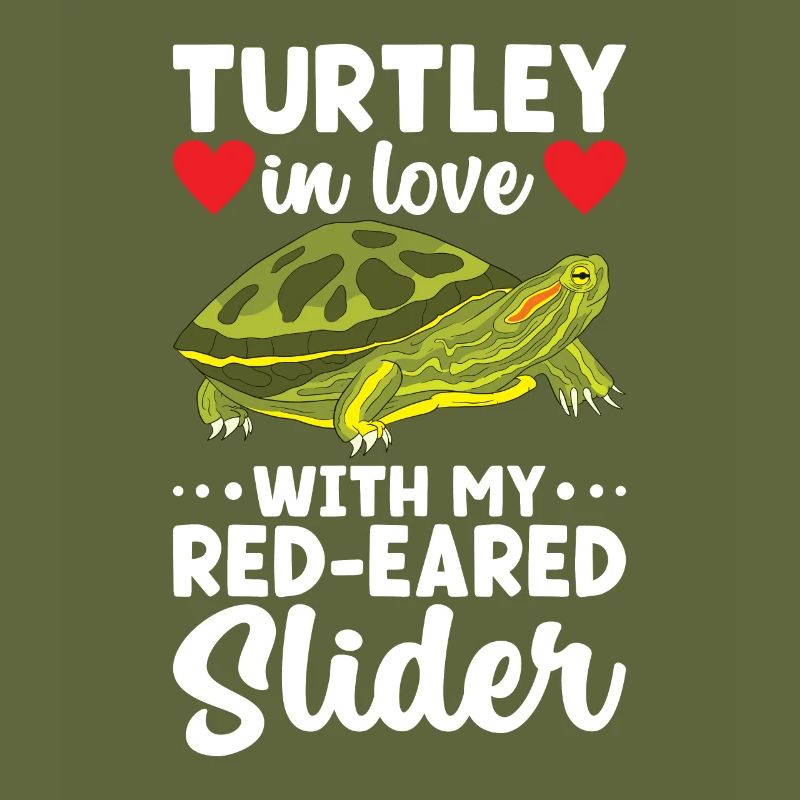 Turtle Red-eared Turtle