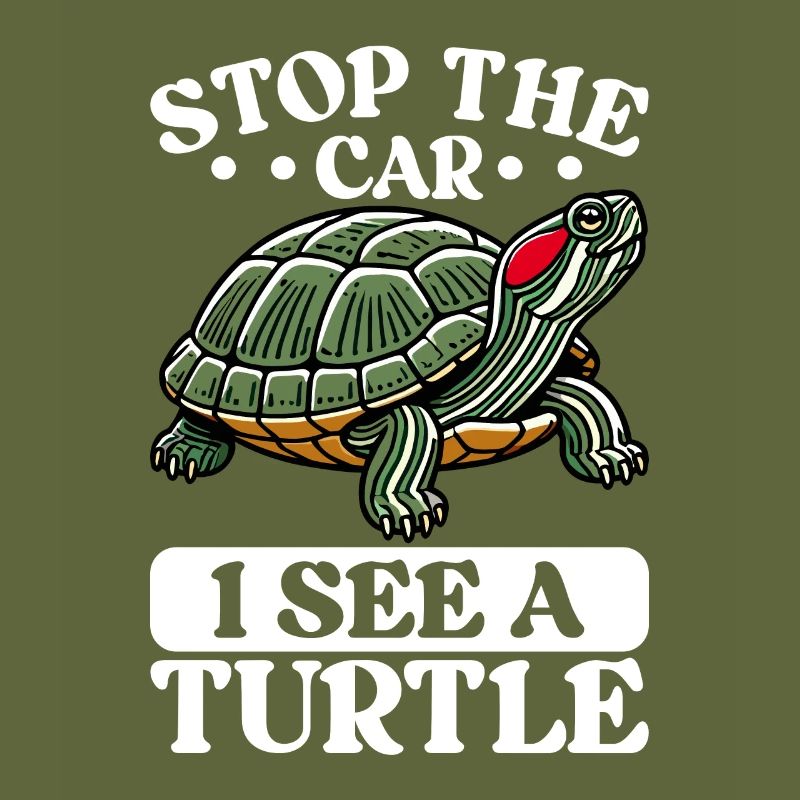 Turtle Red-eared Turtle