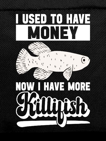 Killifish Quarium Fish