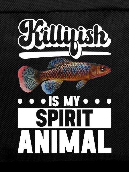 Killifish Quarium Fish
