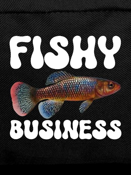 Killifish Quarium Fish